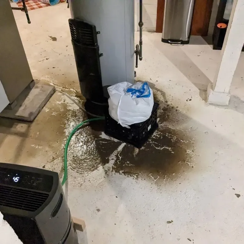 Sewage Backup Cleanup Service in Jacobus, PA